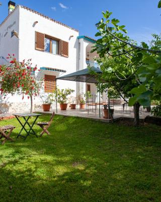 Camere Tirreno 1