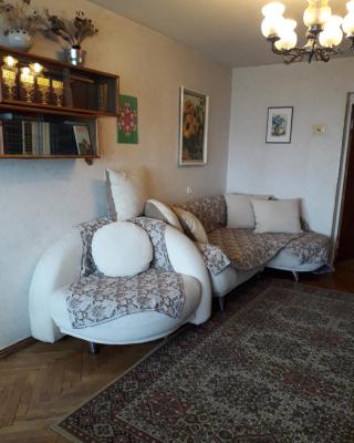 apartmtnt near Victori Squaue