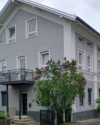 Bad Aibling City Apartment EG