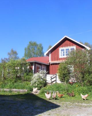 Boende nära Romme Alpin och andra friluftsaktiviteter i Dalarna
