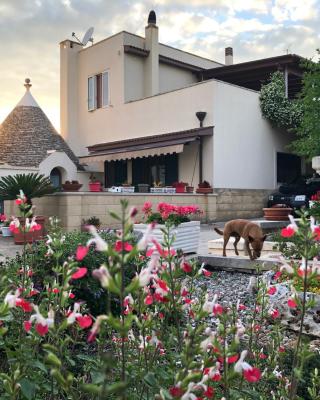 Casa delle Rondini