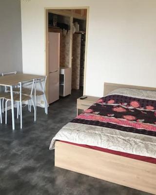 Joli studio proche des châteaux et du parc de Beauval