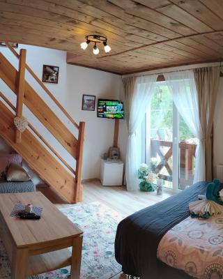 Privat Gazda Pension