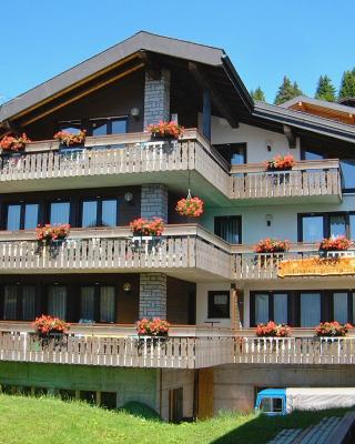 Haus Arolle, Bettmeralp