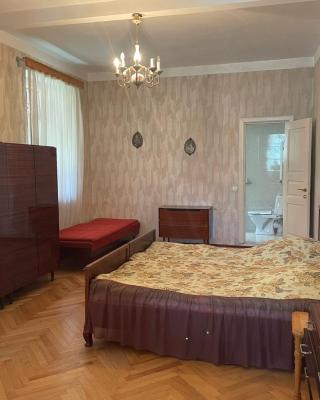 Emma's Guesthouse in Borjomi