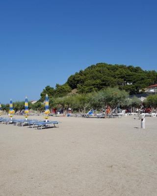 Apartments Galic Omis