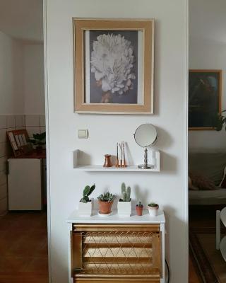 Lovely bright Apartment with Backyard-renovated!
