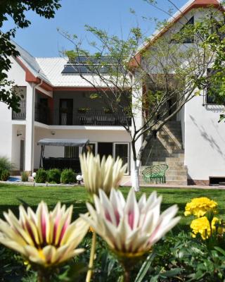 Casa Melamy