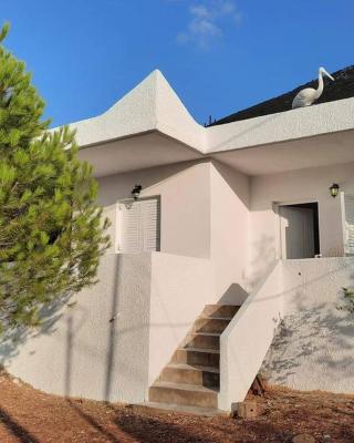 White Villa in Olive trees and Seaview to Panagia