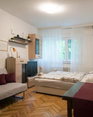 Studio Apartment Vijenac