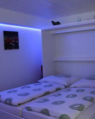 Gehobene Studentenwohnung