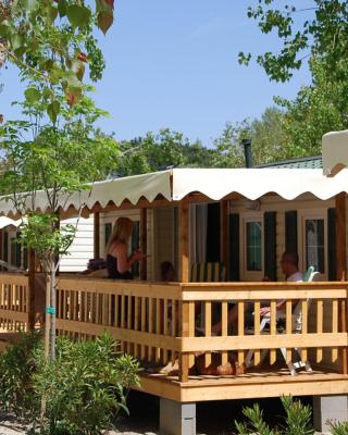 Chalet 4 or 6 persons Toscana Viareggio Camping Bosco Verde Italië