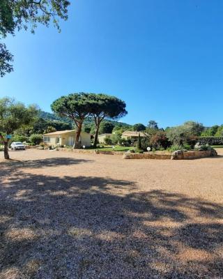 Les Jardins De Santa Giulia - Charmante chambre d'hôte