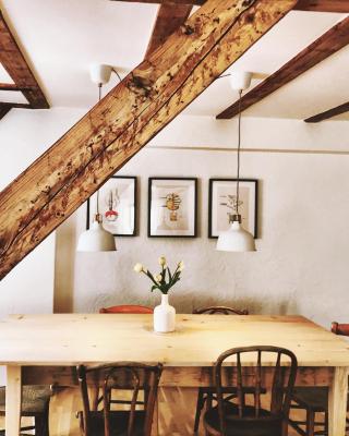 Apartment DOMO Kirchzarten