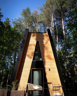 Bain de forêt - Lodges Cosy & Spa