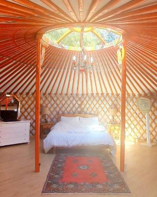 Eldorado Yurt