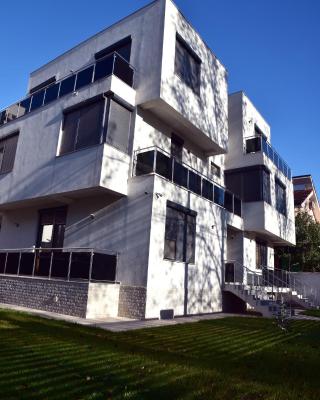 Vila Ozzy
