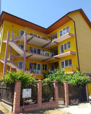 Vila Cata Costinesti