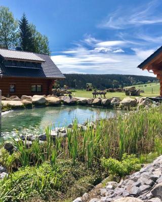 Naturstammhaus und Appartements Zum Brockenbaecker