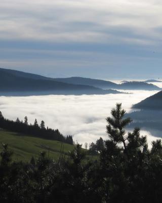 Schöne Aussicht