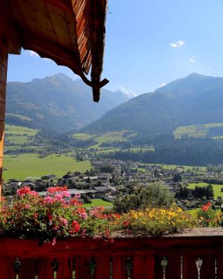 Panorama Ferienhaus Ematberg mit Bergblick und Sauna