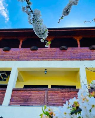 Casa Camelia