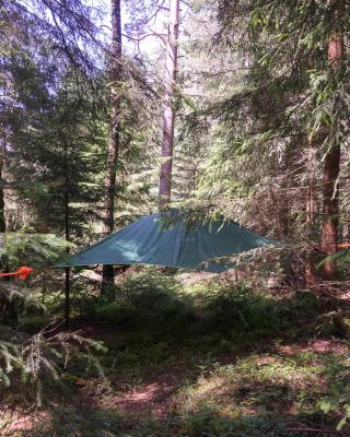 Baumzelt im Wald