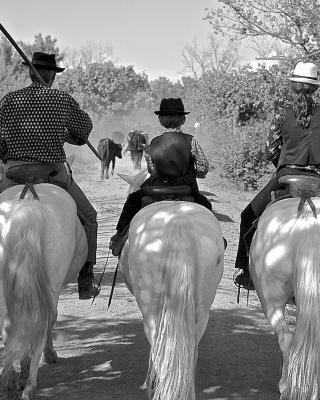 Mas du Menage en Camargue Manade Clauzel