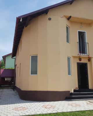 Vila Vlad