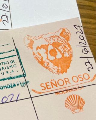 SEÑOR OSO