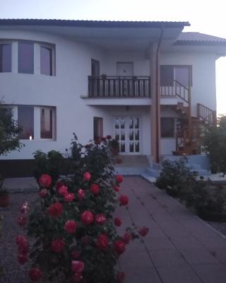 Casa Doina