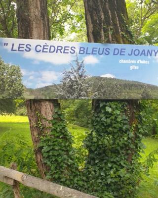 Les Cèdres Bleus de Joany