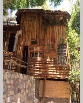 La Casa entre los Árboles en el Valle de Elqui Montegrande