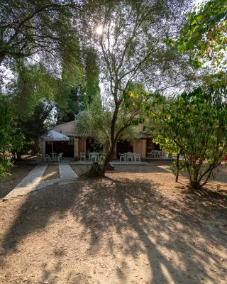 Villa Olive apartments