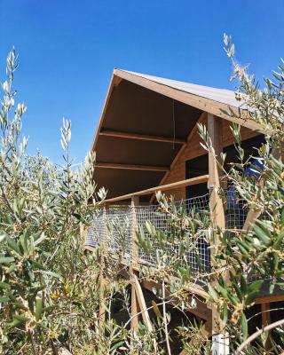 Glamping CirelliWines Abruzzo