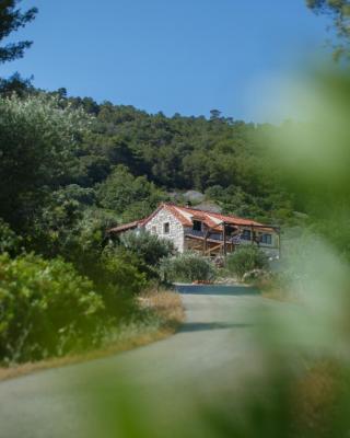 Olive Hill Familly House