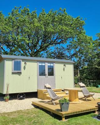 Tolverne Luxury Shepherd's Hut