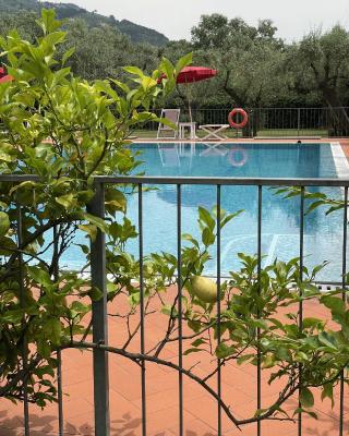 In Versilia