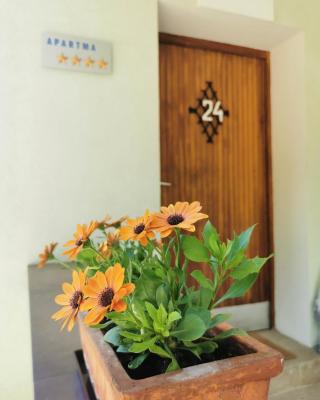 Apartma Rekar - a house, where you can relax in the embrace of nature