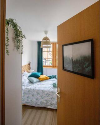 Charming apartment Basel border - 3 bedrooms