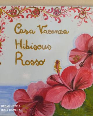 Hibiscus Rosso