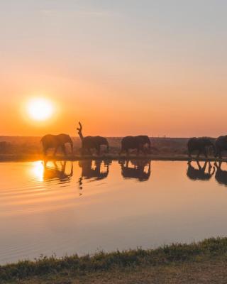 Jabulani Safari