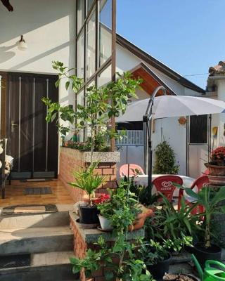 Anna Apartman