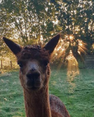 Aux murmures de la nature B&B