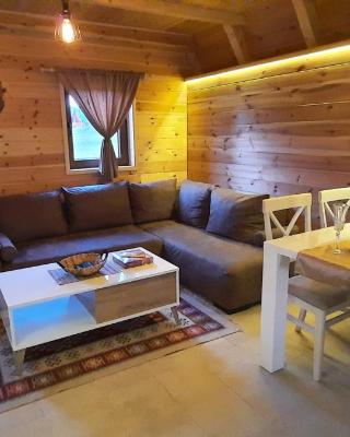 Mountain house Bjanka