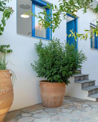 Blue Moon Apartments