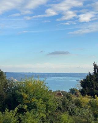 La Garçonniérre del Lago Maggiore