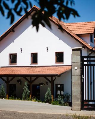 VilaFrancisca10