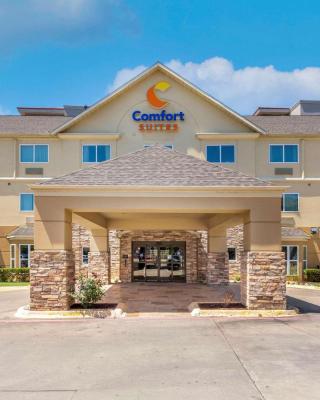 Comfort Suites North Dallas