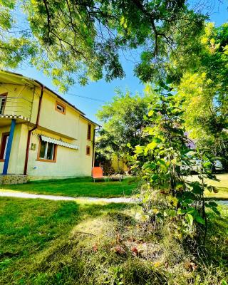 Vila Minerva